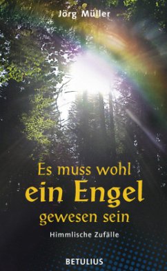 Cover Es muss wohl ein Engel gewesen sein