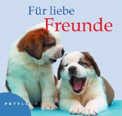 Für liebe Freunde - Stein, Vera