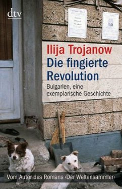 Cover Die fingierte Revolution