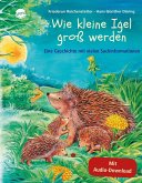 Wie kleine Igel groß werden / Hör gut hin (m. Audio-CD)