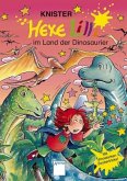 Hexe Lilli im Land der Dinosaurier / Hexe Lilli Bd.14