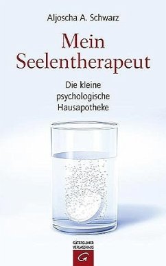 Mein Seelentherapeut - Schwarz, Aljoscha A.