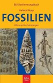 Fossilien: Über 500 Versteinerungen