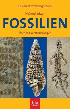 Fossilien: Über 500 Versteinerungen - Mayr, Helmut