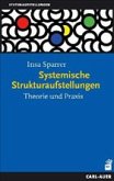 Systemische Strukturaufstellungen