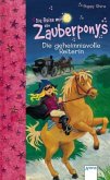 Die geheimnisvolle Reiterin Die geheimnisvolle Reiterin