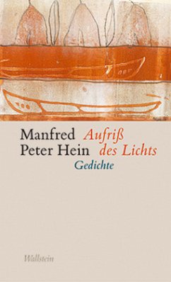 Aufriß des Lichts - Hein, Manfred Peter