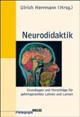 Neurodidaktik