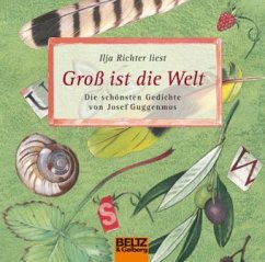 Cover Groß ist die Welt