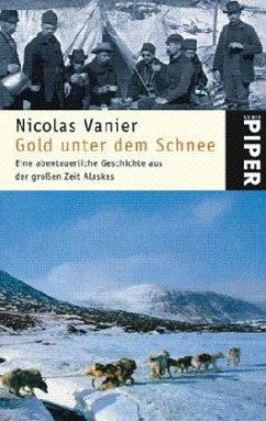 Cover Gold unter dem Schnee