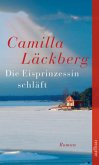 Die Eisprinzessin schläft / Erica Falck & Patrik Hedström Bd.1