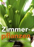 Zimmerpflanzen