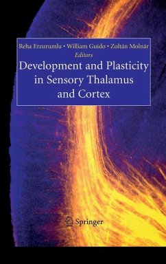 Development and Plasticity in Sensory Thalamus and Cortex - Erzurumlu, Reha / Guido, William / Molnár, Zoltán (eds.)