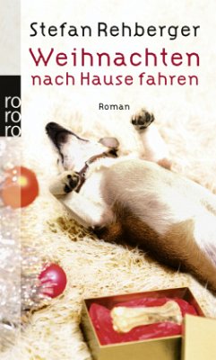 Cover Weihnachten nach Hause fahren
