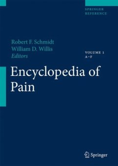 Encyclopedia of Pain, 3 Vols. - Schmidt, Robert F. / Willis, W.D. (eds.)