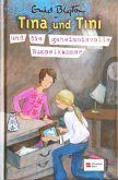 Die geheimnisvolle Rumpelkammer / Tina und Tini Bd.5