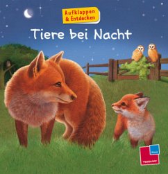 Tiere bei Nacht - Smith, Alastair; Butler, John