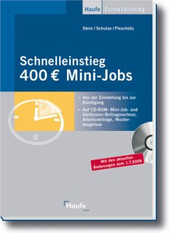 Schnelleinstieg 400 Euro Mini-Jobs, m. CD-ROM - Stein, Anette; Schulze, Eike; Fleschütz, Katja