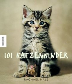 101 Katzenkinder - Hale, Rachael