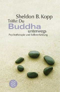 Cover Triffst du Buddha unterwegs . . .