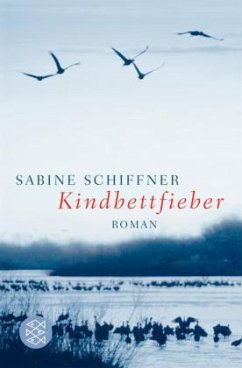 Kindbettfieber - Schiffner, Sabine