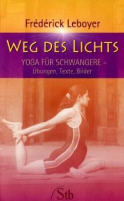 Cover Weg des Lichts