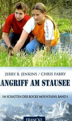 Angriff am Stausee - Jenkins, Jerry B.; Fabry, Chris