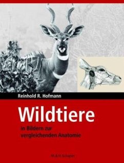 Wildtiere in Bildern zur Vergleichenden Anatomie - Hofmann, Reinhold R