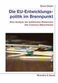 Die EU-Entwicklungspolitik im Brennpunkt