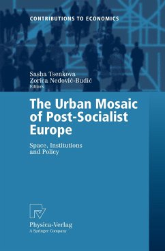 The Urban Mosaic of Post-Socialist Europe - Tsenkova, Sasha / Nedovic-Budic, Zorica (eds.)