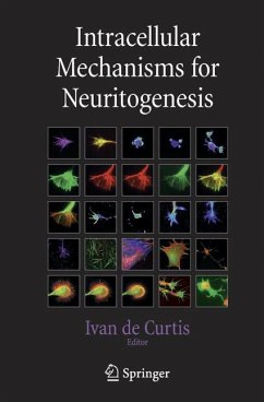 Intracellular Mechanisms for Neuritogenesis - de Curtis, Ivan (ed.)