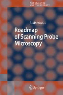 Roadmap of Scanning Probe Microscopy - Morita, S.