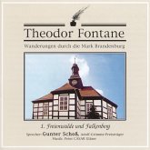 Freienwalde und Falkenberg, 1 Audio-CD / Wanderungen durch die Mark Brandenburg, Audio-CDs Tl.1