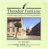 Neuruppin, 1 Audio-CD / Wanderungen durch die Mark Brandenburg, Audio-CDs Tl.13