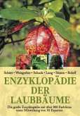 Enzyklopädie der Laubbäume