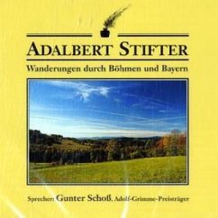 Wanderungen durch Böhmen und Bayern, 1 Audio-CD - Stifter, Adalbert