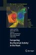 Computing the Electrical Activity in... - Bild 1