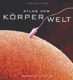 Atlas der Körperwelt - Diano, Pierluigi