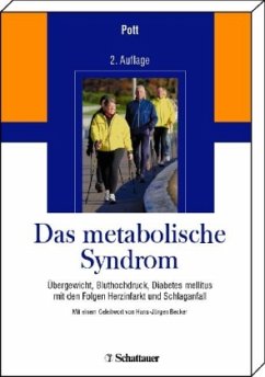 Das metabolische Syndrom - Pott, Gerhard (Hg.)