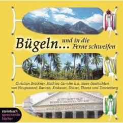 Bügeln und in die Ferne schweifen, 1 Audio-CD