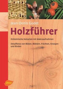 Holzführer - Godet, Jean-Denis