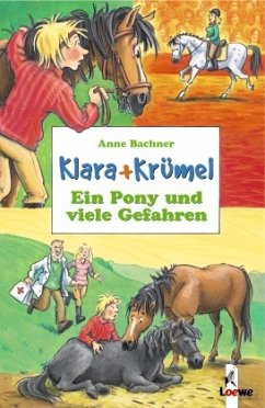 Ein Pony und viele Gefahren (Band 4) - Bachner, Anne