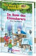 Im Bann des Eiszauberers / Das magische... - Bild 1