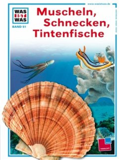 Muscheln, Schnecken, Tintenfische - Mertens, Dietmar