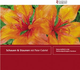 Schauen & Staunen mit Pater Gabriel Schauen & Staunen mit Pater Gabriel