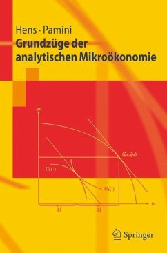 Grundzüge der analytischen Mikroökonomie - Hens, Thorsten;Pamini, Paolo