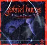 Gabriel Burns - In das Dunkel