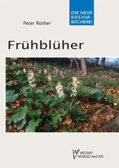Frühblüher - Rüther, Peter