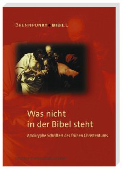 Was nicht in der Bibel steht - Plisch, Uwe-Karsten