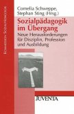 Sozialpädagogik im Übergang